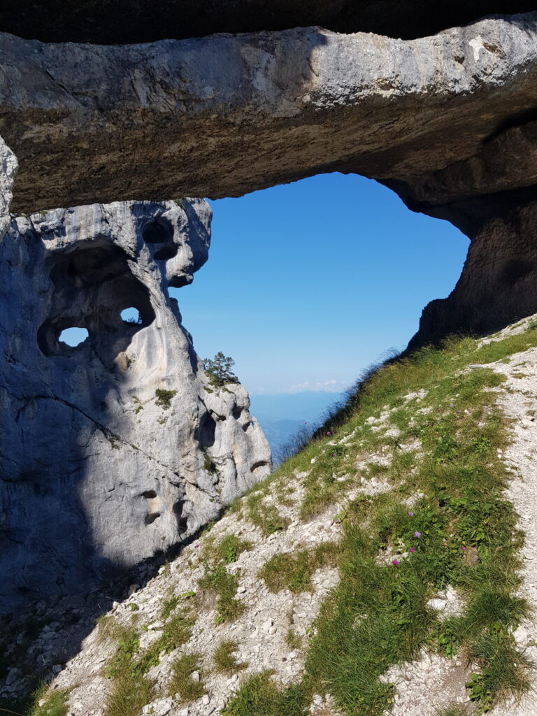 20210820 171416 768x1024